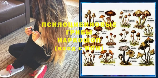 прущие грибы Гусев