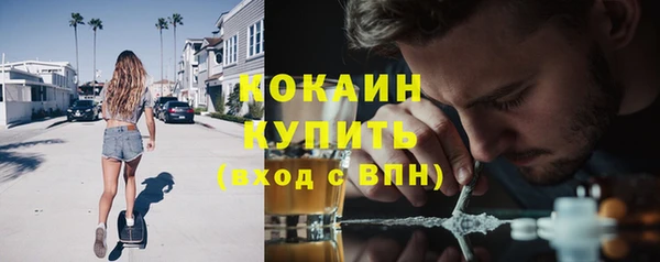 прущие грибы Гусев