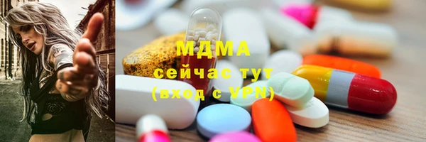 прущие грибы Гусев