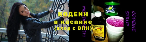 apvp Гусиноозёрск
