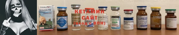 прущие грибы Гусев