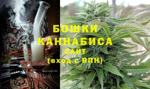 прущие грибы Гусев