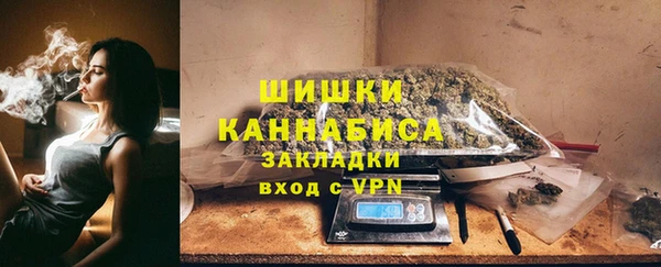 прущие грибы Гусев