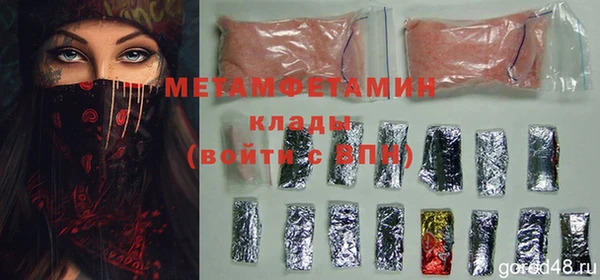 прущие грибы Гусев