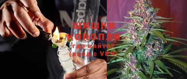 прущие грибы Гусев