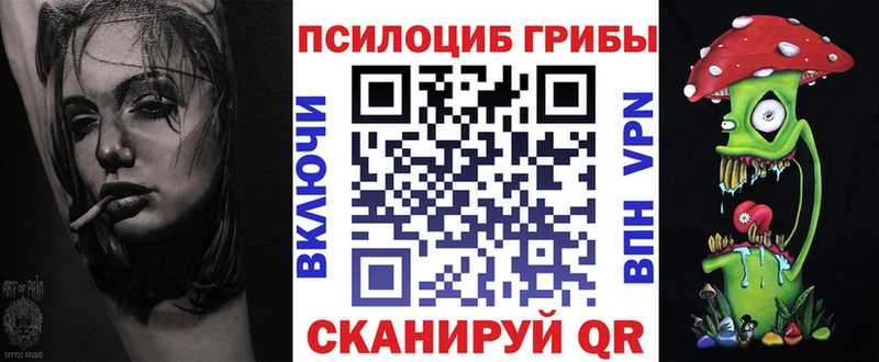 Купить  Мурманск  Галлюциногенные грибы Cubensis 